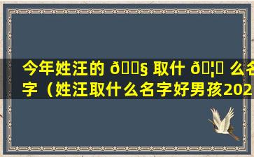 今年姓汪的 🐧 取什 🦍 么名字（姓汪取什么名字好男孩2021）